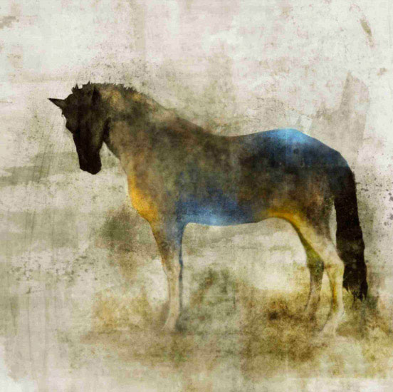 Compatible Tiere Jahrriesnge  for horse lpf10532 