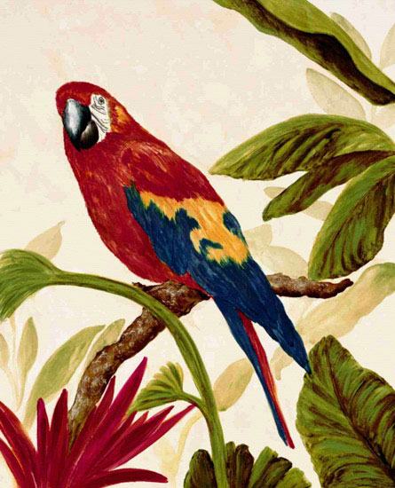 Compatible Tiere Jahrriesnge  for macaw lpf10597 