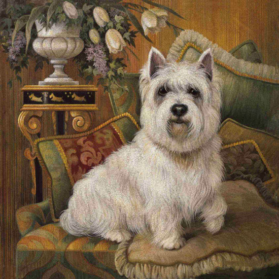 Compatible Tiere Jahrriesnge  for dog lpf10627 