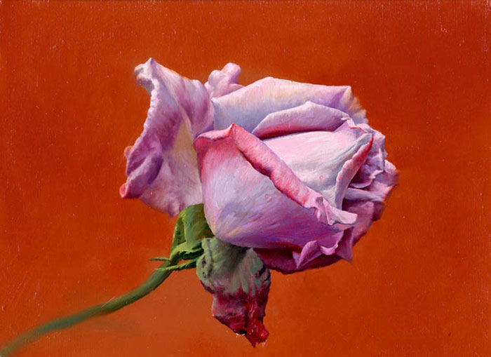 Compatible Stillleben Jahrriesnge  for flower lpf13213 