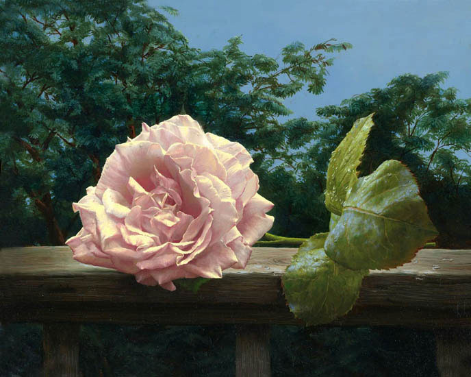 Compatible Stillleben Jahrriesnge  for flower lpf13214 