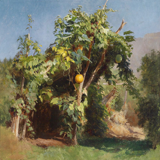 Compatible Stillleben Jahrriesnge  for fruits lpf13493 