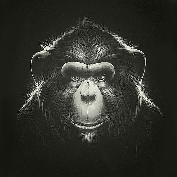 Compatible Tiere Jahrriesnge  for monkey-lpg0531 