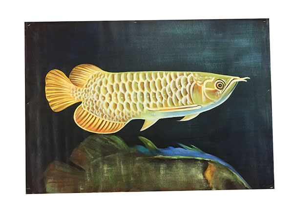 Compatible Tiere Jahrriesnge  for fish lpg2670 