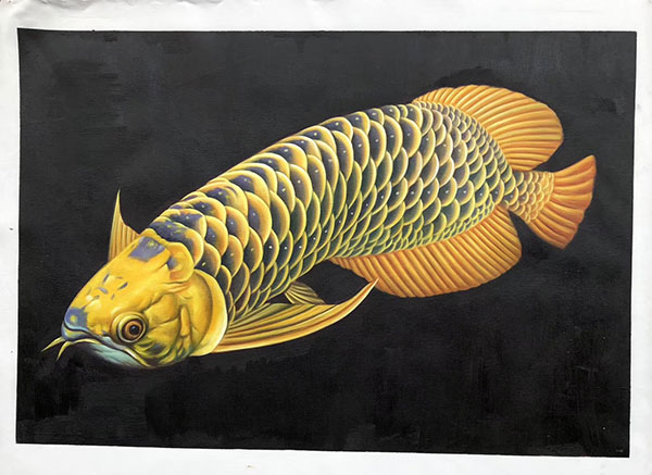 Compatible Tiere Jahrriesnge  for fish lpg2671 