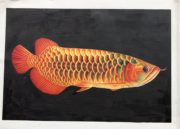 Compatible Tiere Jahrriesnge  for fish lpg2673 