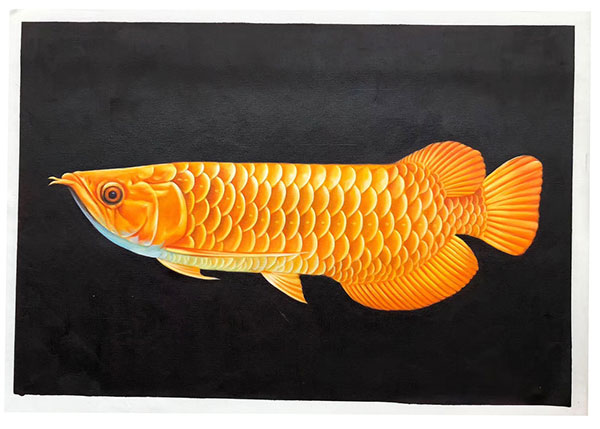 Compatible Tiere Jahrriesnge  for fish lpg2675 