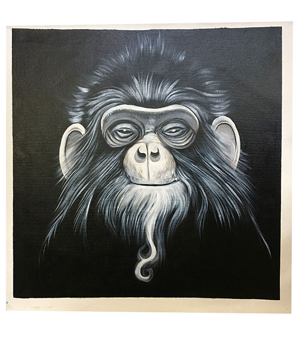 Compatible Tiere Jahrriesnge  for monkey lpg2712 